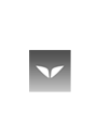 Mindvalley